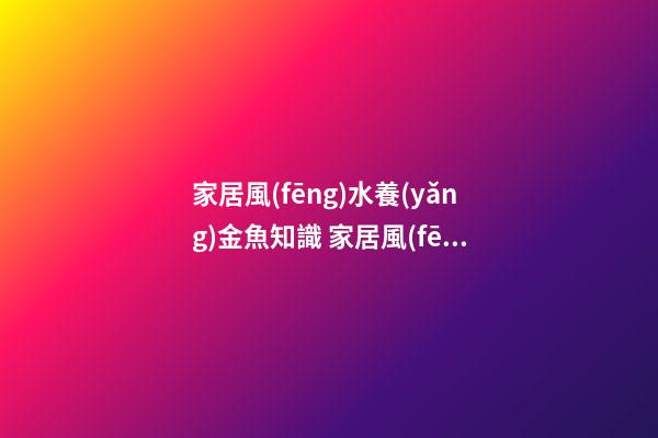 家居風(fēng)水養(yǎng)金魚知識 家居風(fēng)水養(yǎng)金魚禁忌